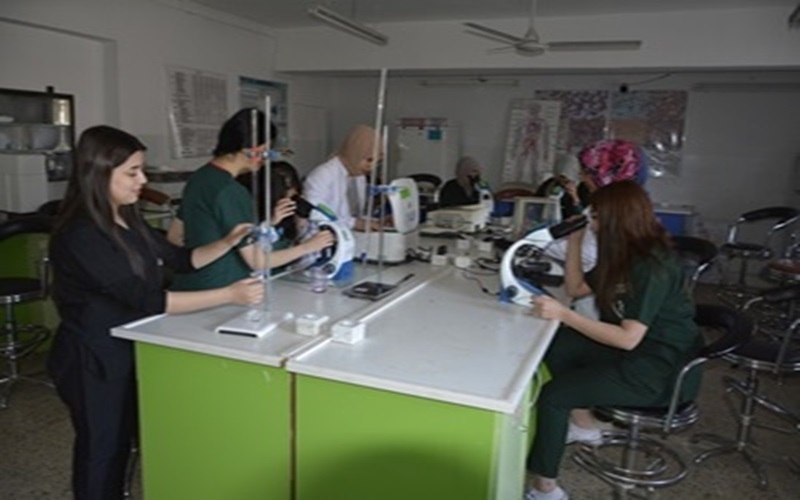 d34360c7 e1ea 49c4 97a0 922fb191c2e5