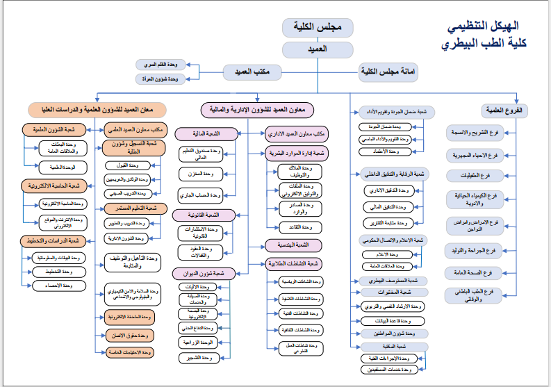 الهيكل التنظيمي