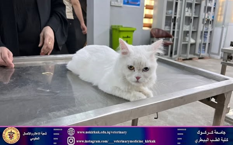 المستوصف البيطري التعليمي يستقبل حالات مرضية