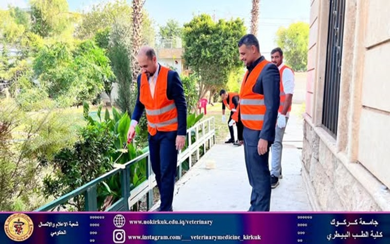 كلية الطب البيطري تنظم حملة تطوعية لطلاء الأسيجة الحديد في حدائق الكلية 