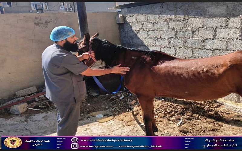 المستوصف البيطري التعليمي يستقبل حالة مرضية