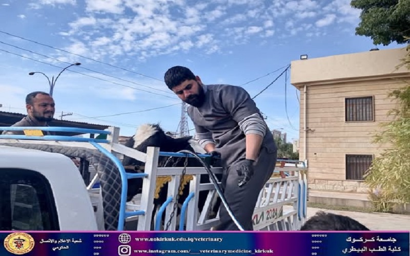 كلية البيطرة تستقبل حالة مرضية .