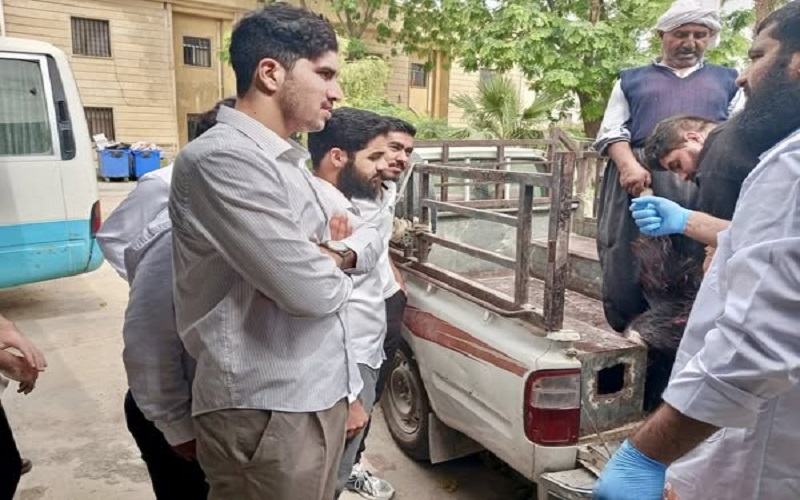  استمرار ورود الحالات المرضية الى المستوصف البيطري التعليمي 