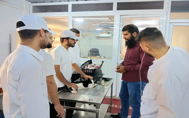 المستوصف البيطري التعليمي يستقبل حالة مرضية .