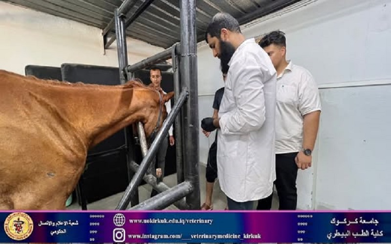 المستوصف البيطري التعليمي يستقبل حالات مرضية .