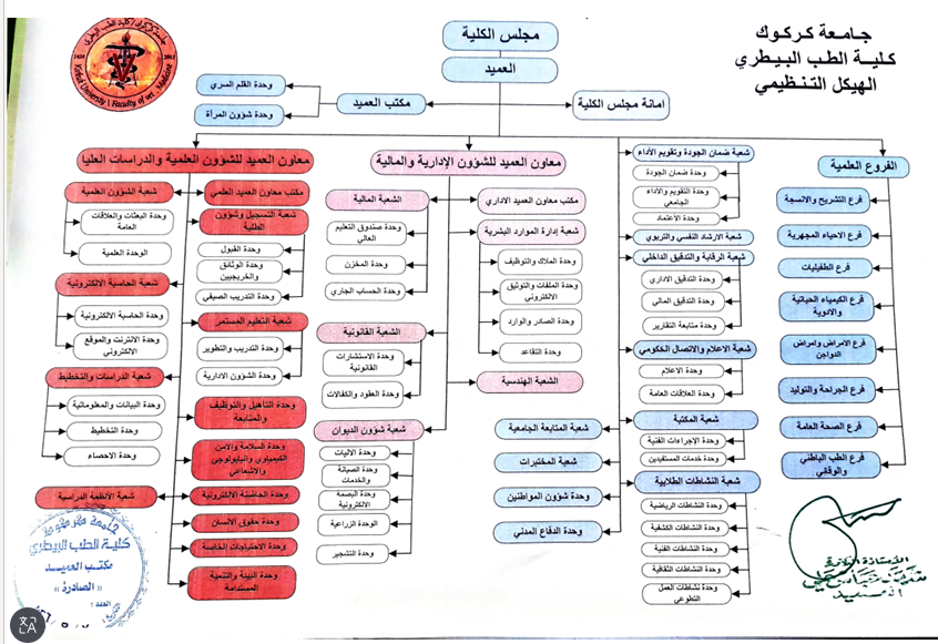 الهيكل التنظيمي