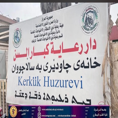 مسنين 2