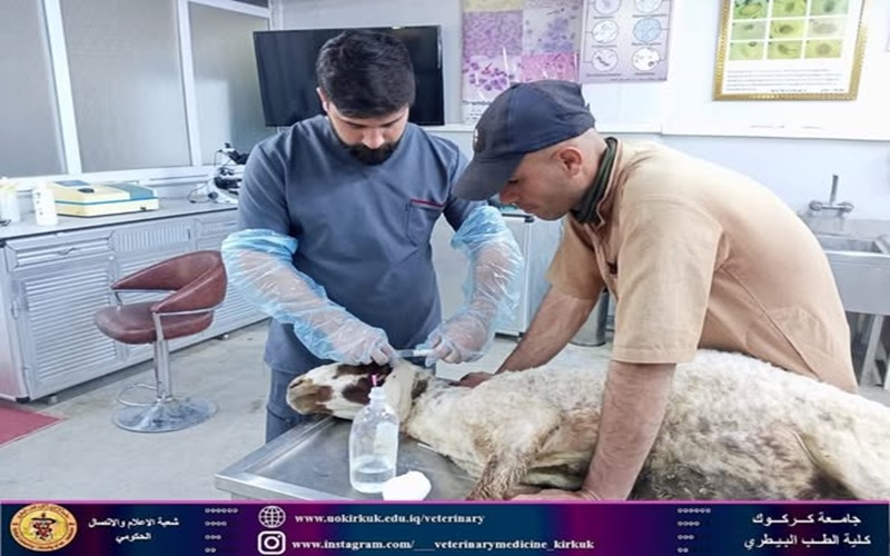 The veterinary college receives sick patients.