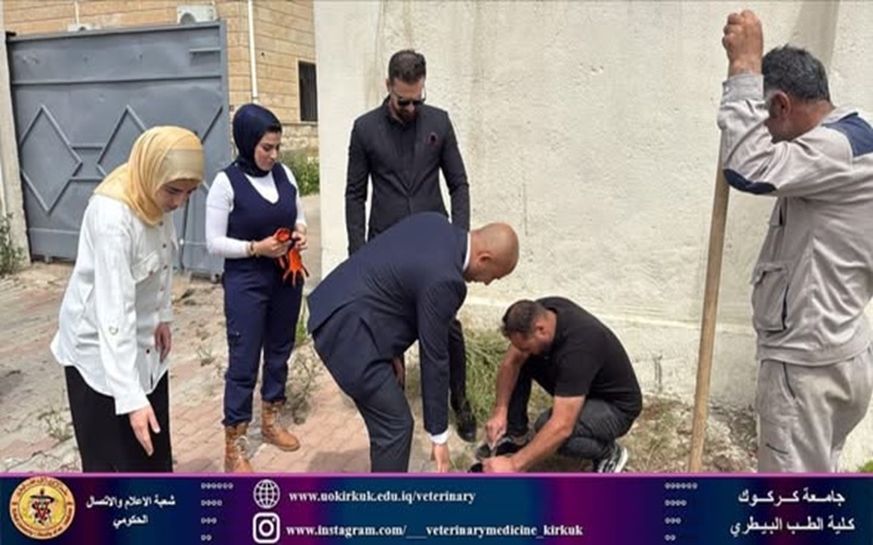 The Faculty of Veterinary Medicine launches a campaign to plant trees in its gardens and courtyards.