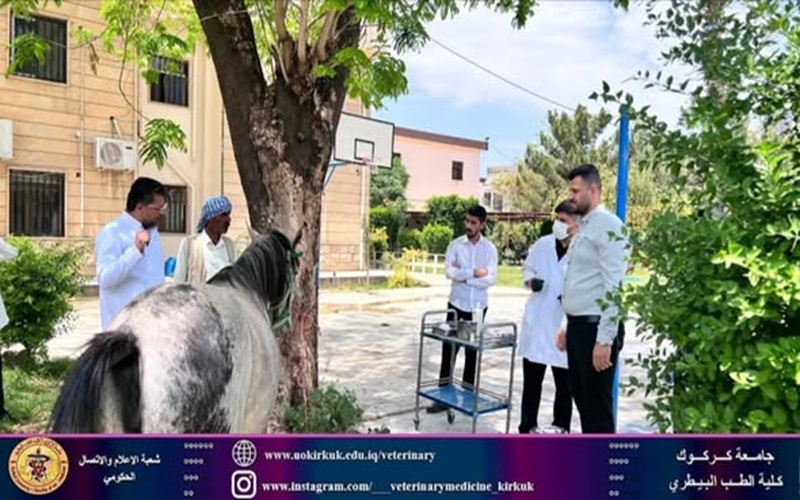 كلية البيطري تستقبل حالة مرضية .
