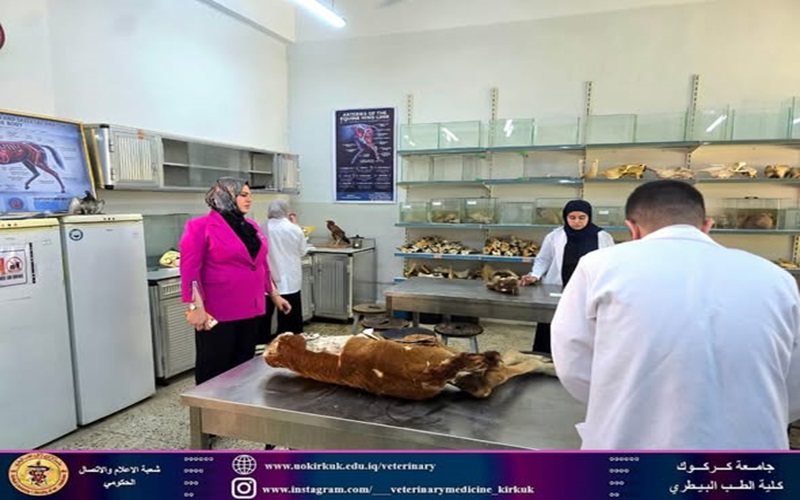عميد كلية الطب البيطري تتفقد طلبة المرحلة ألأولى اثناء تأديتهم للامتحانات العملية 