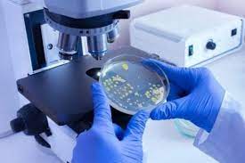 images 12
